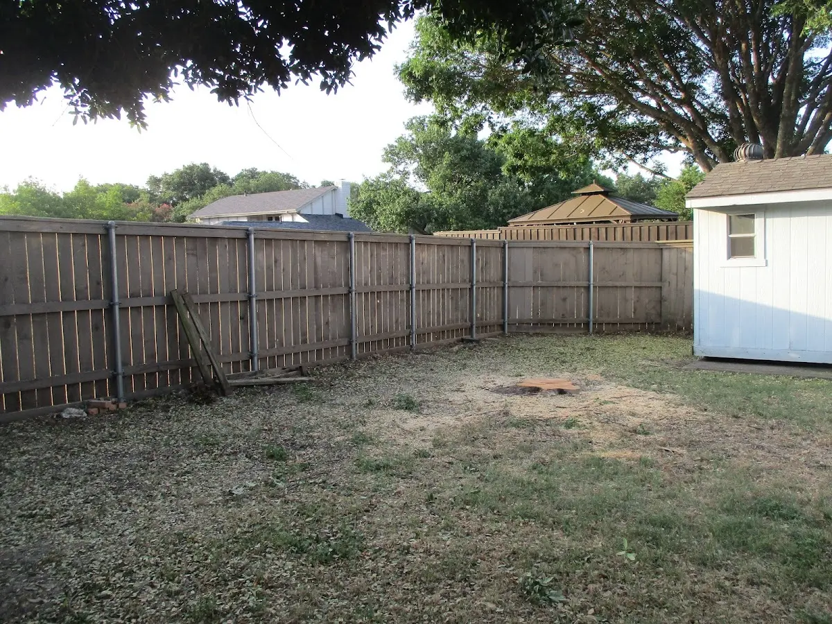 Cleared yard after professional tree removal in Maple Shade